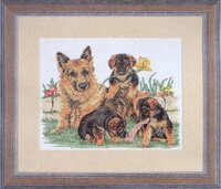 Anchor PCE808 Germain Shepherd Family.JPG