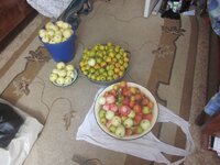 Изображение 31947.jpg