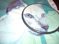 Изображение 016.jpg