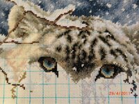 CIMG1421 (1024x768).jpg