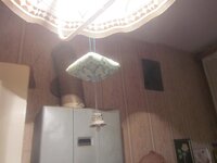 Изображение 2831.jpg