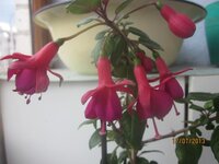 Изображение 298.jpg