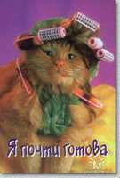 в бигудях.jpg