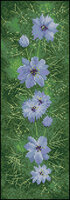 Heritage JCLM474_Love In A Mist.jpg