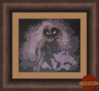 сова07блэкворк 04.11.2011 в раме.JPG