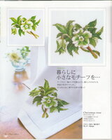 Fujico Christmas Rose.jpg