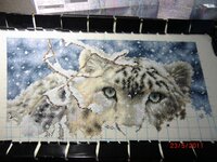 CIMG1434 (1024x768).jpg