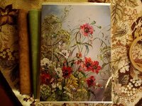 2015-02-16 10-51-36.jpg