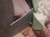 Изображение 857.jpg