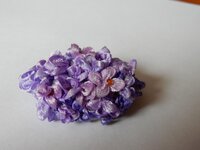 2016-01-31 11-50-12.jpg