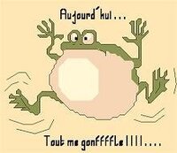 Aujourdhui Tout me Gonfffle.jpg