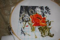 RAZITA маки 09.12.2011.jpg