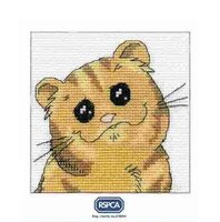 DMC K5100 MrFlint Card.JPG