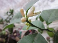 Изображение 2103.jpg