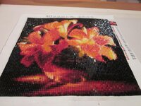 Изображение 1284.jpg