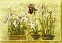 ecx51344 Цветы Востока.jpg