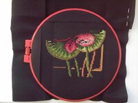 Oksanka лотос 29.01.2012.jpg