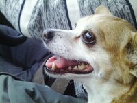 IMAG4327 [Разрешение рабочего стола].JPG