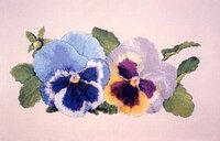 SL149 Stepsister.jpg