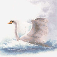 swan in flight.jpg