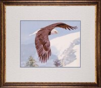 Парящий над миром.jpg