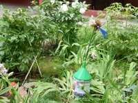 2016-06-14 13-32-40.jpg