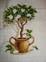 Лимонное дерево (3).jpg