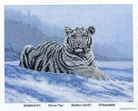 56780000-01011 siberian Tiger.jpg