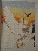 IMG_1113 копия.jpg