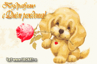 поздравляю гиф.gif