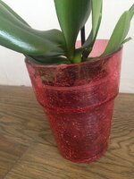 2014-08-14 12-53-50.jpg