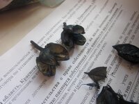 Изображение 2876.jpg