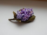 2016-02-01 12-48-36.jpg