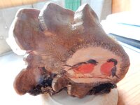 2016-06-08 10-48-10.jpg