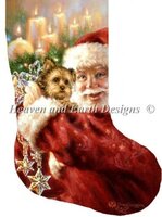 Stocking Yorkie For Christmas.jpg