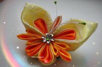 бабочка 3.jpg