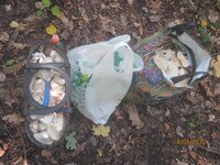 Изображение 33400.jpg