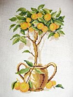 АПЕЛЬСИНОВОЕ ДЕРЕВЦЕ (3).jpg