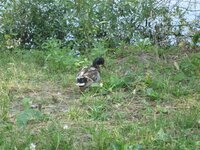 Изображение 1301.jpg