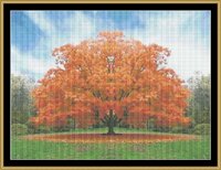 Bright Orange Of Fall.jpg