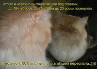 неважно выгляжу.jpg