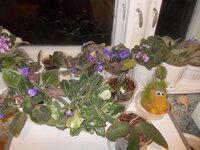 Изображение 054.jpg