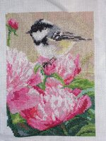 Изображение 287889.jpg