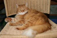 Изображение 363.jpg