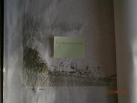 фр розы 0104.jpg