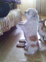 IMAG4370 [Разрешение рабочего стола].JPG