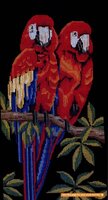 два красных попугая ара.jpg