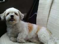 IMAG4341 [Разрешение рабочего стола].JPG