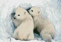 белые медвежата.jpg