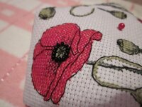 Изображение 3124.jpg